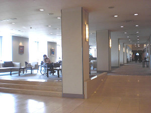 Lobby and lounge