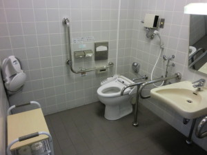 Multipurpose bathroom