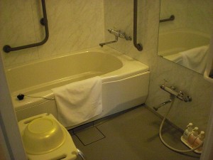 Bath inside the accessible room